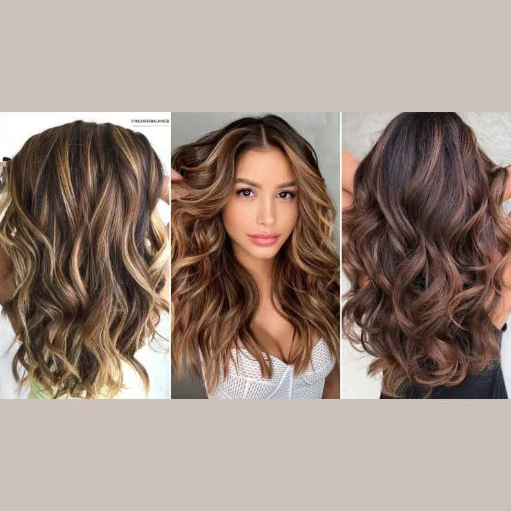 Highlights